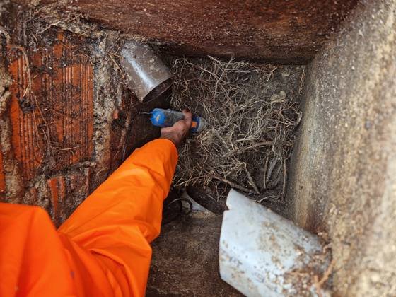 Trabalho de canalizacao e desentupimento realizado pela So Esgotos, foto 63
