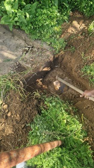 Trabalho de canalizacao e desentupimento realizado pela So Esgotos, foto 104